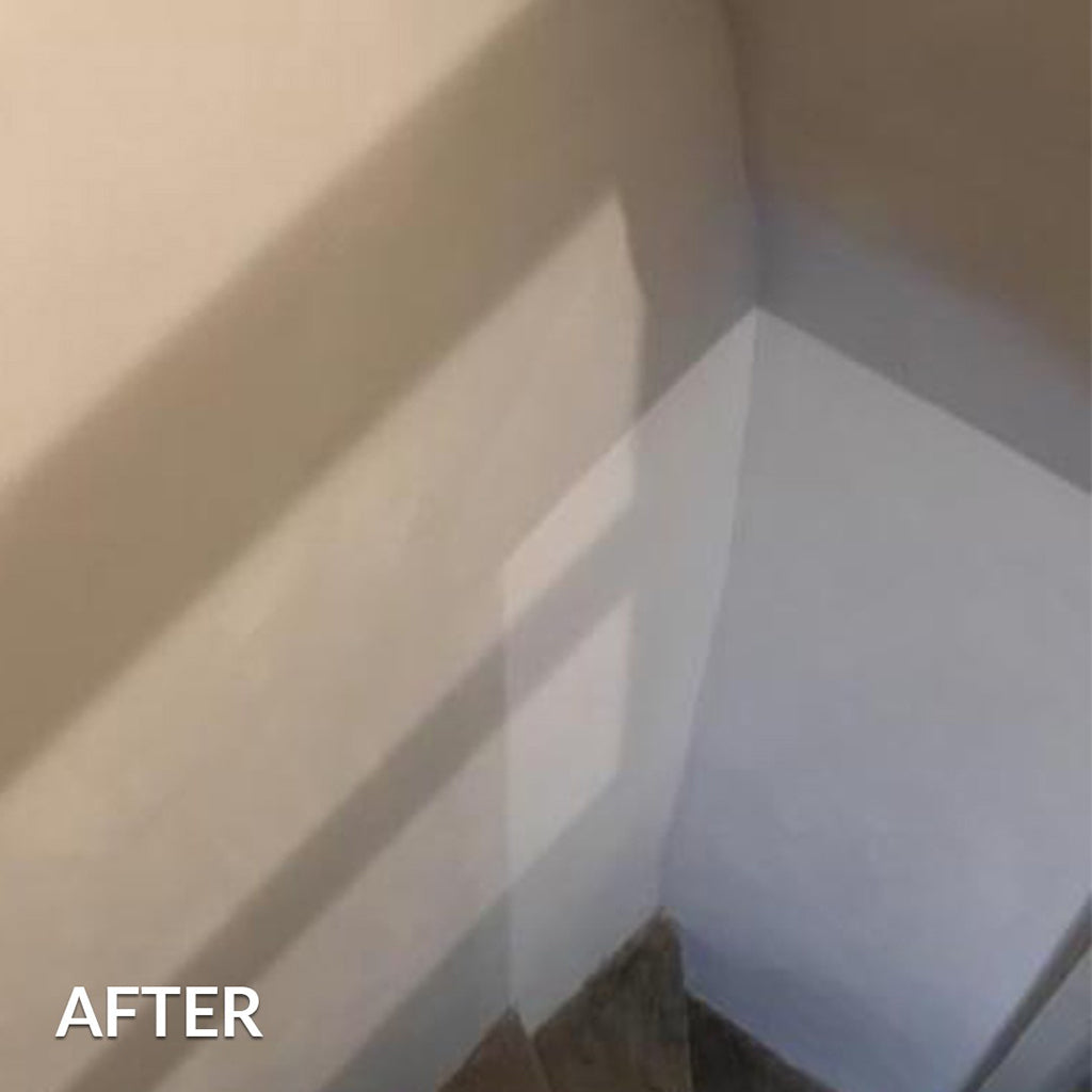 Ecologic Lime Plaster TAKCOAT Platinum