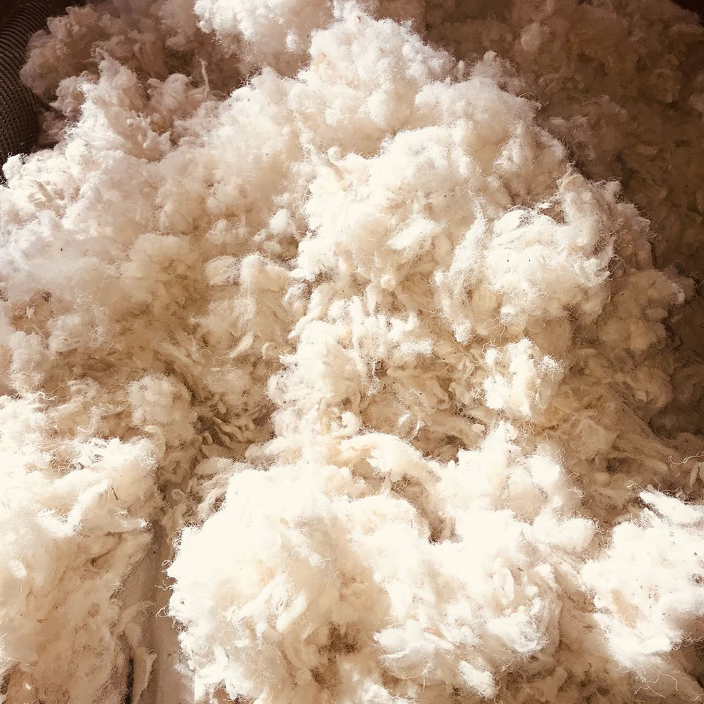 Havelock Wool Loose Fill Insulation