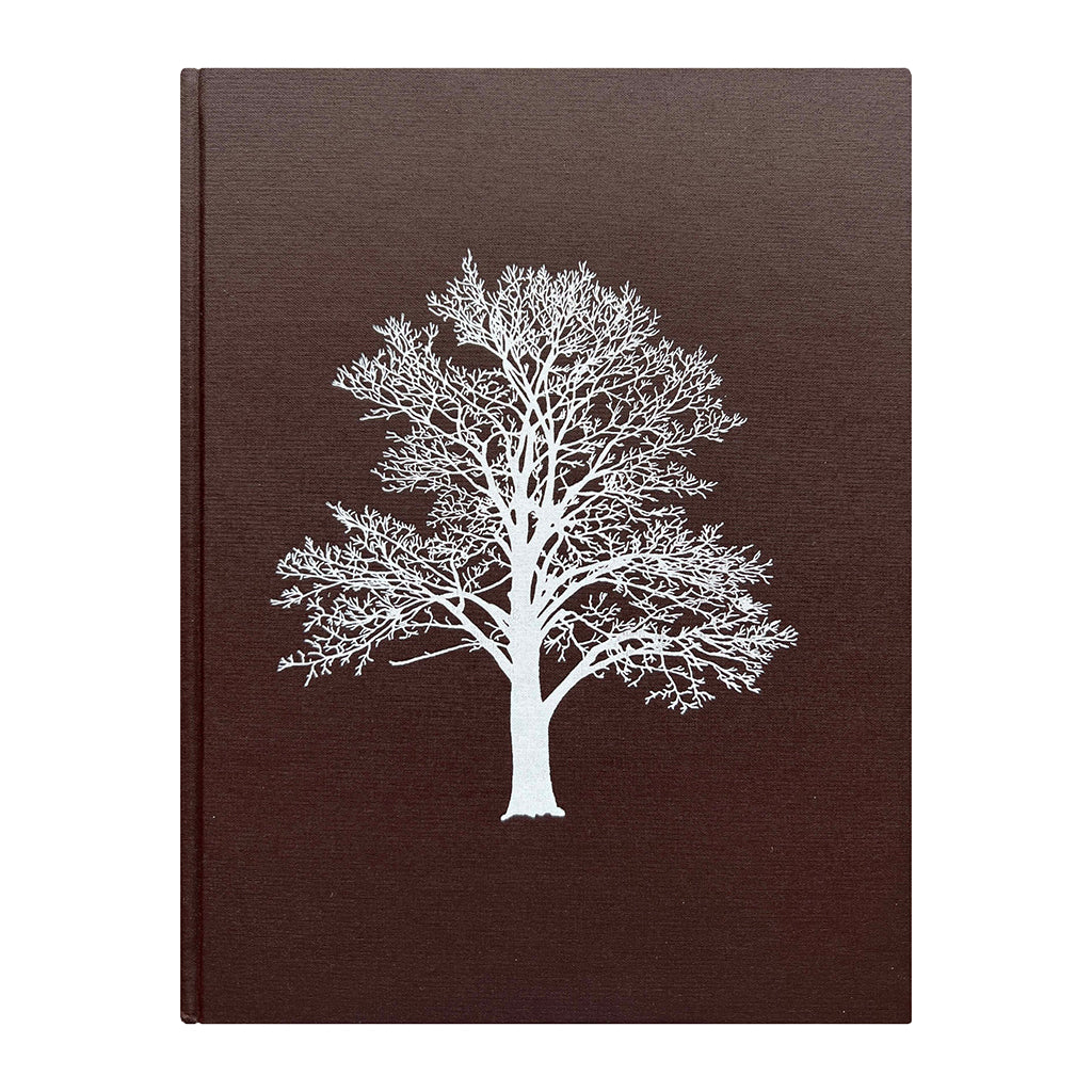 With the Grain: A Craftsman's Guide to Understanding Wood