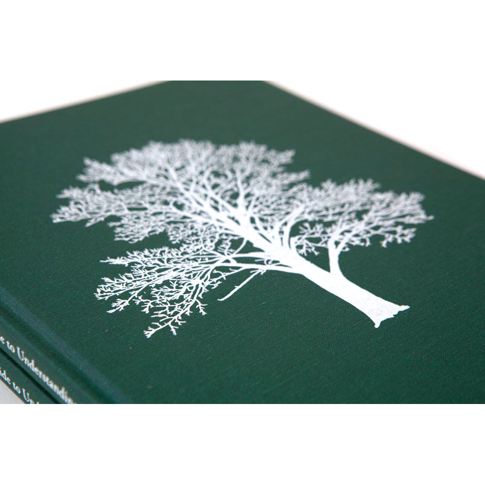 With the Grain: A Craftsman's Guide to Understanding Wood
