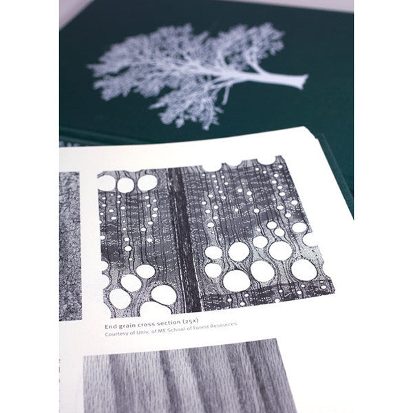 With the Grain: A Craftsman's Guide to Understanding Wood, Lost Art Press