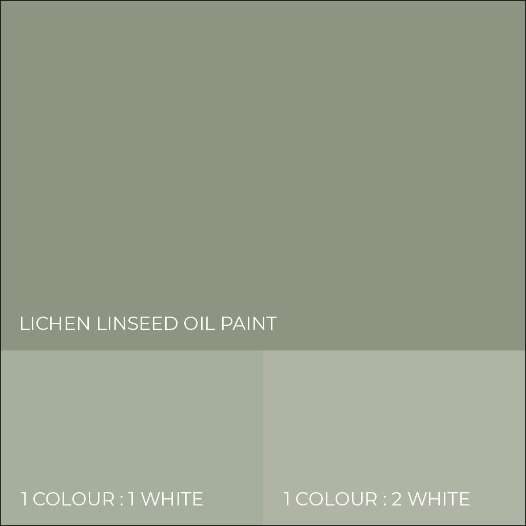 Lichen Linseed Oil Paint