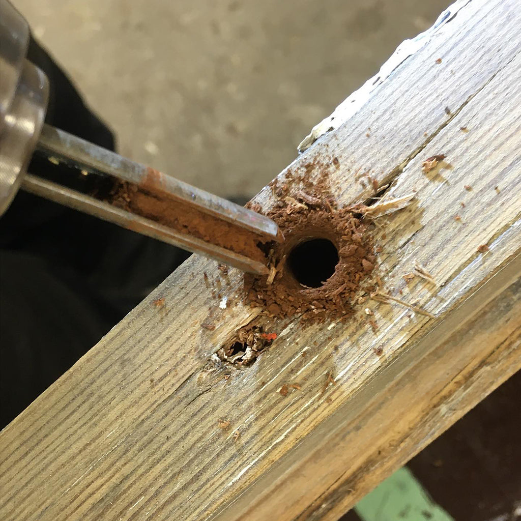 NEW Hollow Screw Extractor