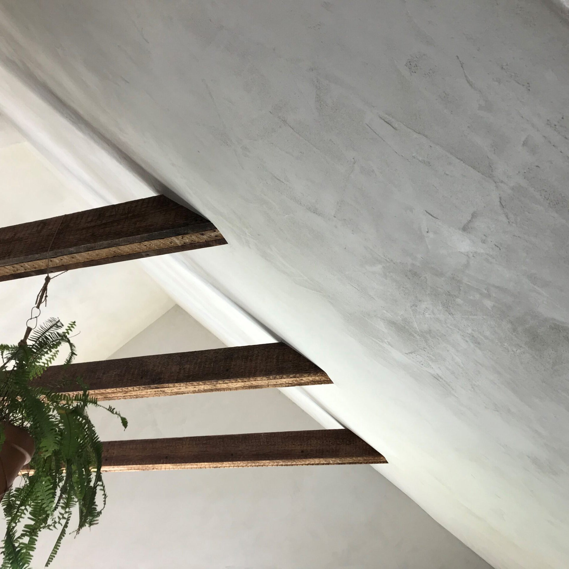 Ecologic Lime Plaster TAKCOAT Platinum