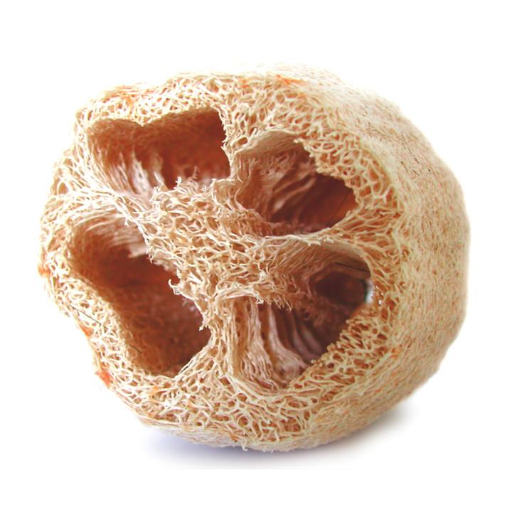 Natural Luffa Sponge