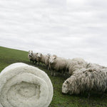 Cradle to cradle: wool insulation is a natural and renewable resource that is made with little processing, and it can be composted at the end of its useful life.