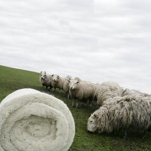 Cradle to cradle: wool insulation is a natural and renewable resource that is made with little processing, and it can be composted at the end of its useful life.
