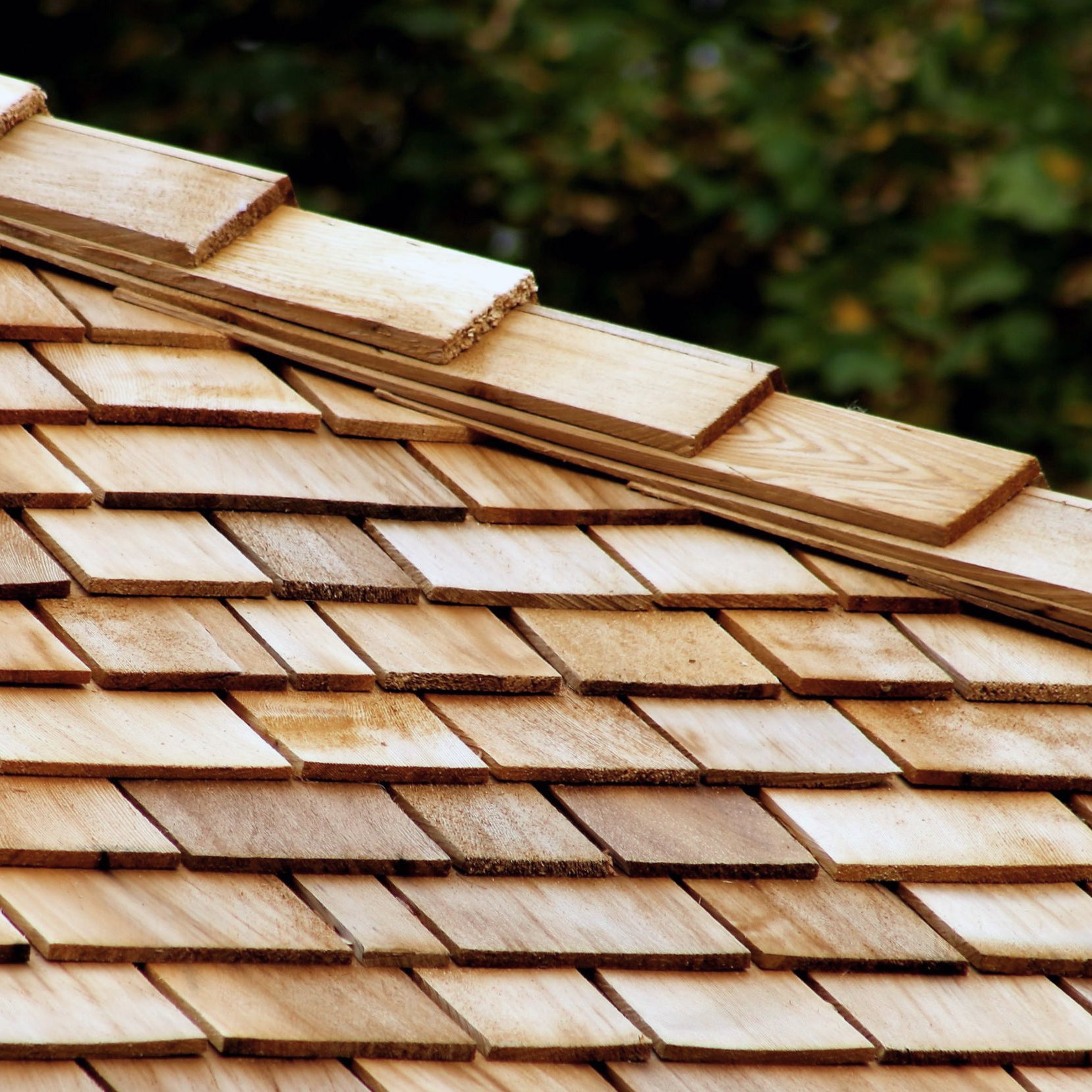 Kiln-dried White Cedar Shingles