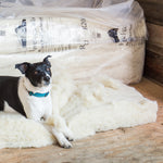 Havelock Wool insulation is safe for people and for pets.