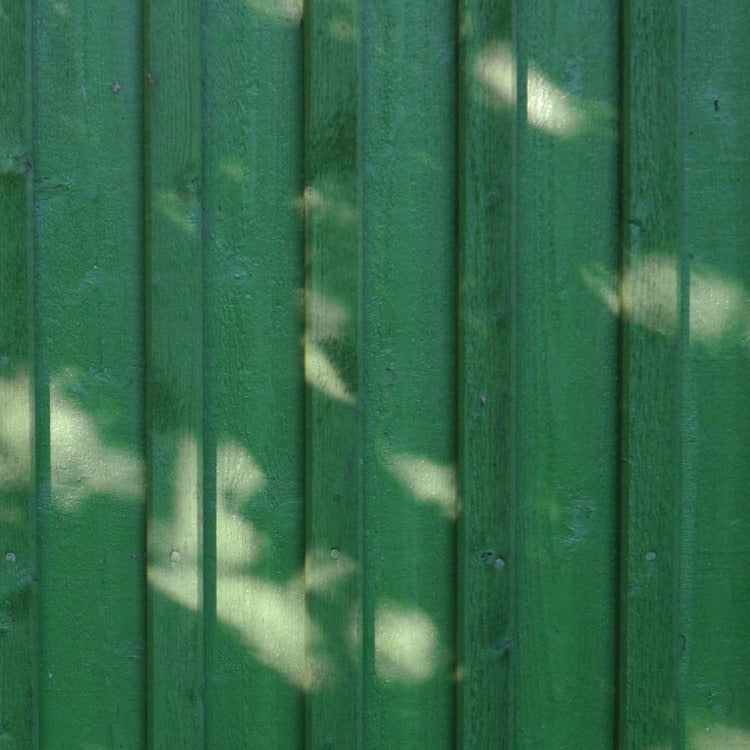 Green Pine Tar